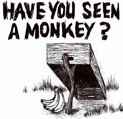 Have You Seen a Monkey? | Friday 12 August – Sunday 14 August 2011 | 