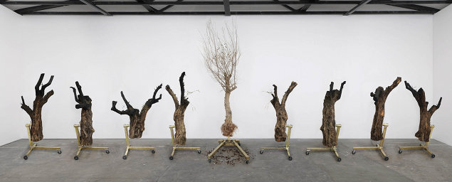 Siobhán Hapaska: a great miracle needs to happen there, 2011, olive trees “Olea europaea”, lead-free solder, brass, steel, cast iron, 9 elements, dimensions of each vary | Siobhán Hapaska: a great miracle needs to happen there | Friday 26 August – Saturday 1 October 2011 | Kerlin Gallery