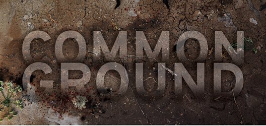 Pat Fitzpatrick: Common Ground | Friday 25 January – Saturday 23 March 2013 | Bourn Vincent Gallery