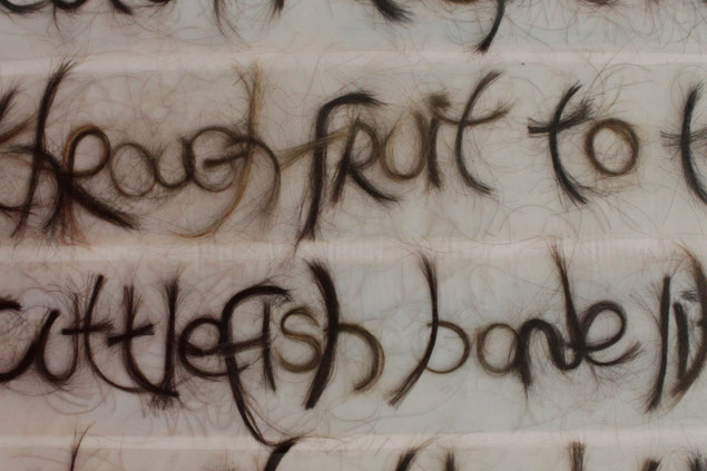 Donna Coogan: Try Mango (detail), human hair and contact paper, 152 x 76 cm | Things / Daiktai | Saturday 8 March – Saturday 12 April 2014 | CIT Wandesford Quay Gallery