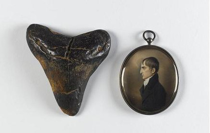(l-r) Fossil shark tooth Carcharodon megalodon, USA Natural History Collection © National Museum of Ireland and John Comerford Robert Emmet (1778-1803), c.1803. Watercolour on ivory in a silver-gilt pendant. 6.5 x 5.7 cm. Presented, 1969 National Gallery of Ireland Collection ©National Gallery of Ireland | Trove | Wednesday 3 December 2014 – Sunday 8 March 2015 | IMMA