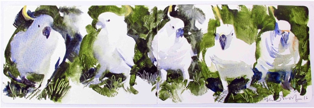 John Short, Sketchbook - Cockatoos, Sydney, NSW, Australia, watercolour, 13 x 41cm | John Short: New Paintings | Friday 3 March – Saturday 25 March 2017 | Solomon Fine Art