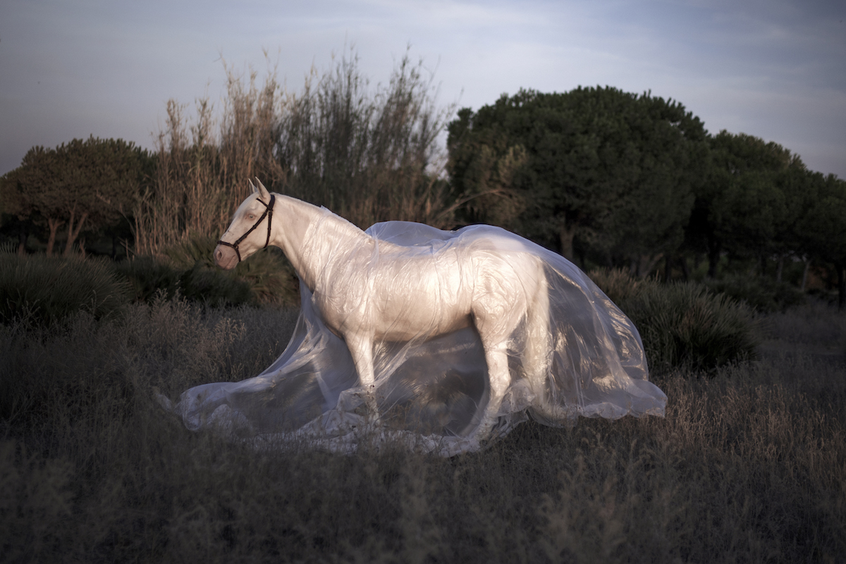 Curro Rodriguez: Debla, photograph, 60 x 90cm | Encountering the Land – Art Works 2018 | Wednesday 6 June – Sunday 2 September 2018 | VISUAL Centre for Contemporary Art