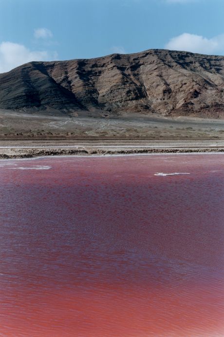 Wolfgang Tillmans, red lake, 2002, © Wolfgang Tillmans, courtesy Maureen Paley, London | Wolfgang Tillmans: Rebuilding the Future | Friday 26 October 2018 – Sunday 10 March 2019 | IMMA