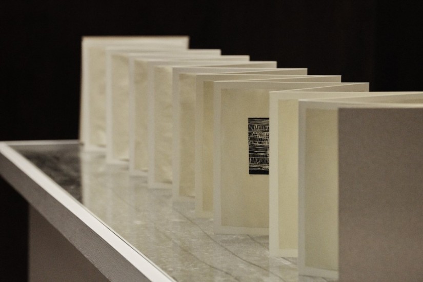 The Book Project: 9 Stone Artists, Foyer VISUAL 2019; installation shot by Ros Kavanagh | 9 Stones Artists: The Book Project | Saturday 9 February – Sunday 19 May 2019 | VISUAL Centre for Contemporary Art