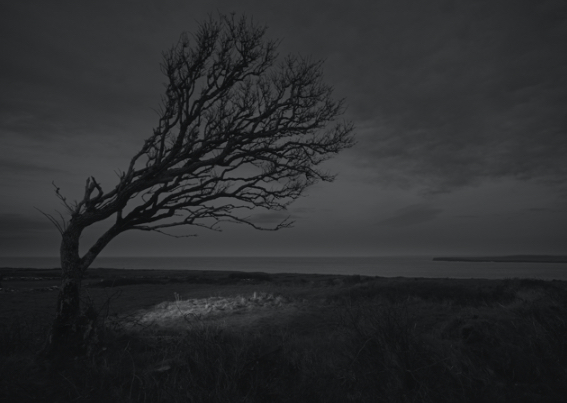 Tommy Weir, Cillín, Lackan, Mayo, 2019; pigment print on Hahnemühle Etching; 113 x 84cm; Collection of the Arts Council/An Chomhairle Ealaíon | Tommy Weir: Cillín | Saturday 6 November – Saturday 18 December 2021 | Uillinn: West Cork Arts Centre