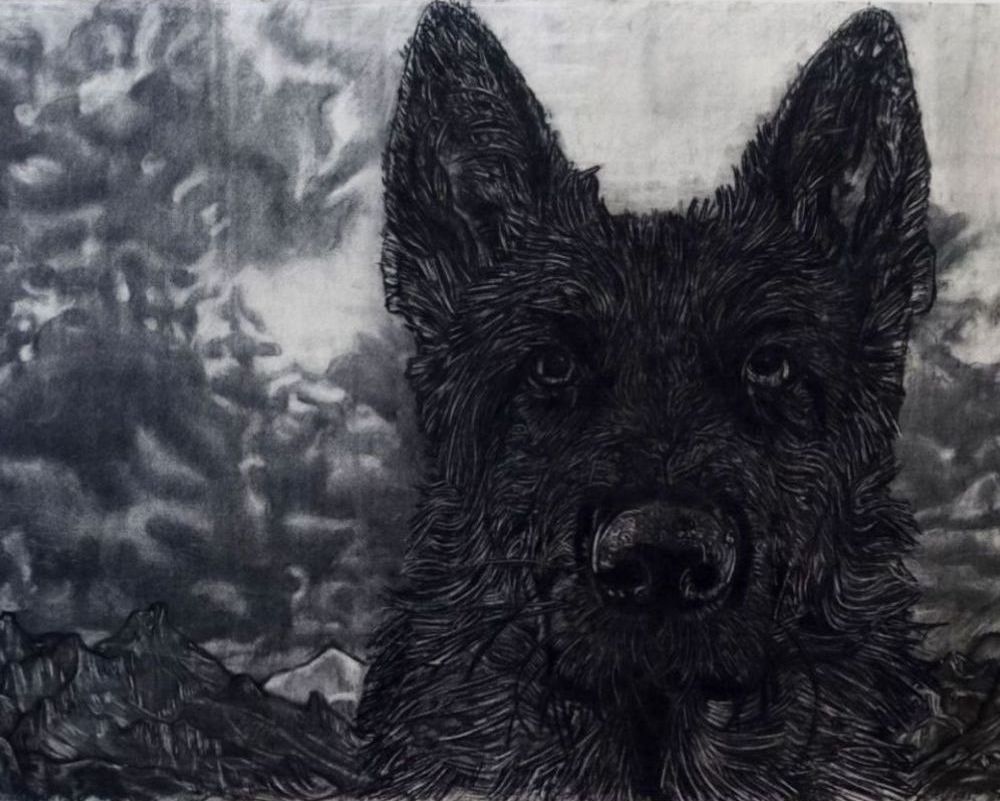 Gary Coyle: Black Dog, 2020, charcoal on paper, 150 x 180cm | Gary Coyle: Dreaming Different Dreams | Thursday 5 March – Saturday 28 March 2020 | Kevin Kavanagh Gary Coyle: Black Dog, 2020, charcoal on paper, 150 x 180cm | Gary Coyle: Dreaming Different Dreams | Thursday 5 March – Saturday 28 March 2020 | Kevin Kavanagh
