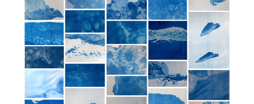Martina-OBrien-series-of-cyanotype-prints-dimensions-variable-2020