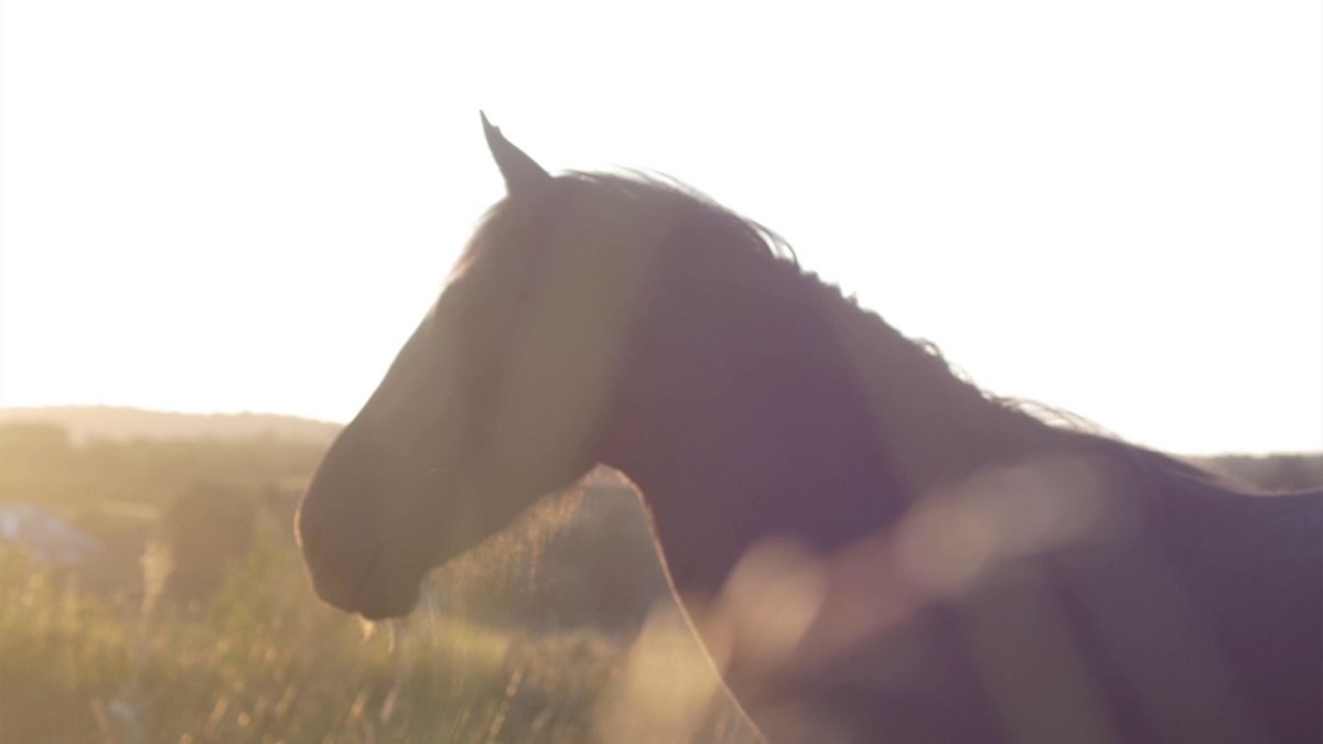 Mark Garry: An Lucht Siúil (The Walking People) | Friday 7 August – Friday 25 September 2020 | Roscommon Arts Centre