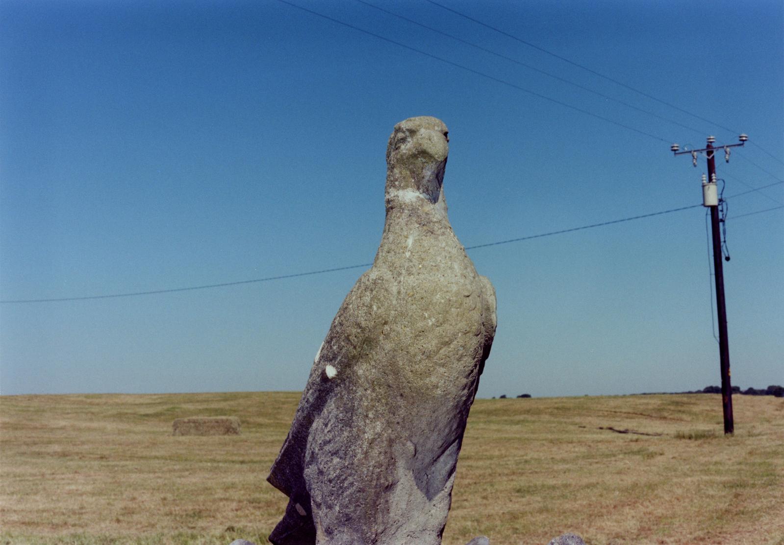 Samuel Laurence Cunnane: Bird Statue, 2019, Hand-printed C-type print on archival photo paper, edition of 3 + 1AP, 17.8 x 25.5 cm/7 x 10 in image size,40.2 x 48 cm/15.8 x 18.9 in framed size | Samuel Laurence Cunnane | Saturday 5 September – Saturday 10 October 2020 | Kerlin Gallery