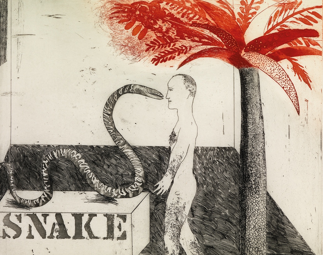 David Hockney (b. 1937) Jungle Boy, 1964, etching and aquatint in black and red on mould-made paper; © David Hockney; photo Richard Schmidt | Living with art: Picasso to Celmins | Friday 11 December 2020 – Saturday 30 January 2021 | F.E. McWilliam Gallery