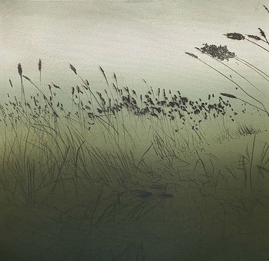 Hilary Kinahan: Meadow, etching 30 × 30 cm, 2022 | Hilary Kinahan: RAPT | Saturday 12 February – Sunday 3 April 2022 | Luan Gallery