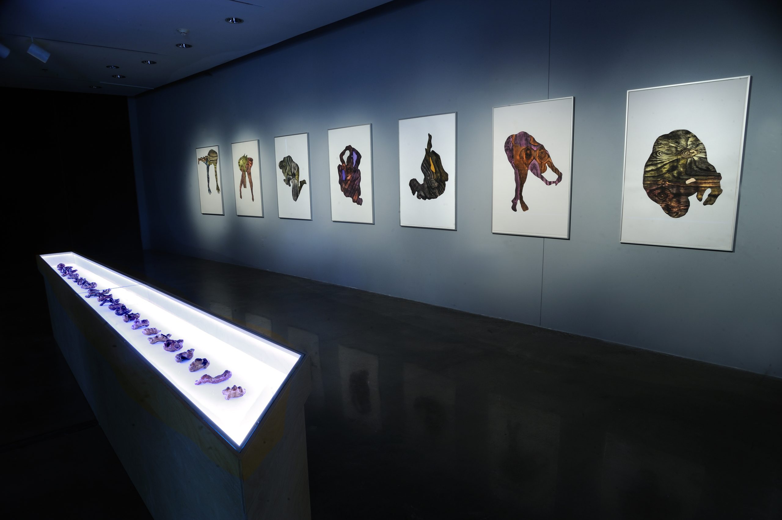 Alice Maher: VOX HYBRIDA | Saturday 25 February – Saturday 8 April 2023 | Golden Thread Gallery | Image: installation shot of 7 framed prints along a wall in a dark space; display case containing small objects in the foreground 