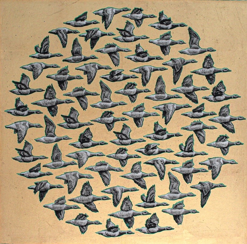 Kelvin Mann: Brent geese - Starboard | Kelvin Mann: Navigate | Saturday 10 June – Saturday 8 July 2023 | SO Fine Art Editions | Image: Kelvin Mann: Brent geese - Starboard – about 50 geese depicted flying towards viewer’s; they're in a circular configuration of individuals (not a formation) against what seems to be a gold background 