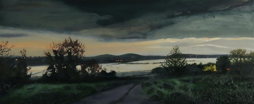 ann quinn