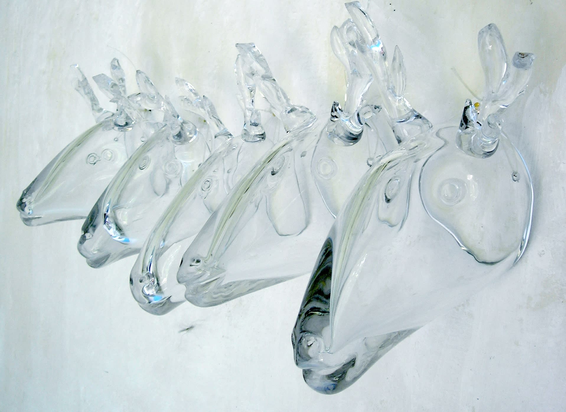Janet Mullarney: Glass Masks, 2006, hand-blown glass, 17 x 21 x 22cm each. Photo by T. Perissi | Winter Group Show | December 2023 – January 2024 | Taylor Galleries | Image: Janet Mullarney: Glass Masks, 2006, hand-blown glass, 17 x 21 x 22cm each. Photo by T. Perissi | photograph from at an angle to the side of five reindeer (?) heads created in blown, colourless glass; they are mounted on a wall