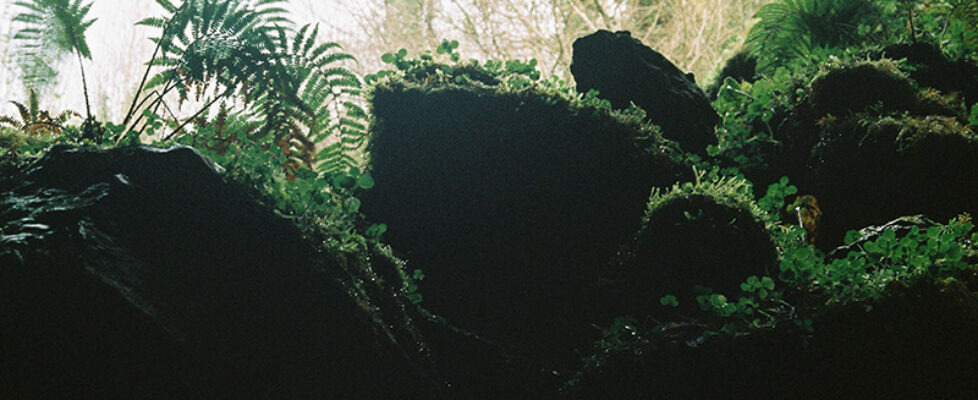 strata