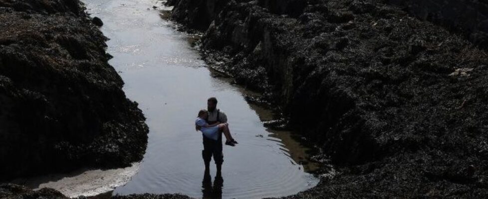 Adrift_WCC_header