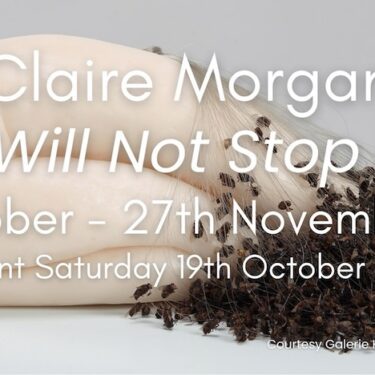 Claire Morgan: You Will Not Stop Here | Golden Thread Gallery 
 23-29 Queen Street Belfast BT1 6EA | until Wednesday 27 November | to 2024-11-27