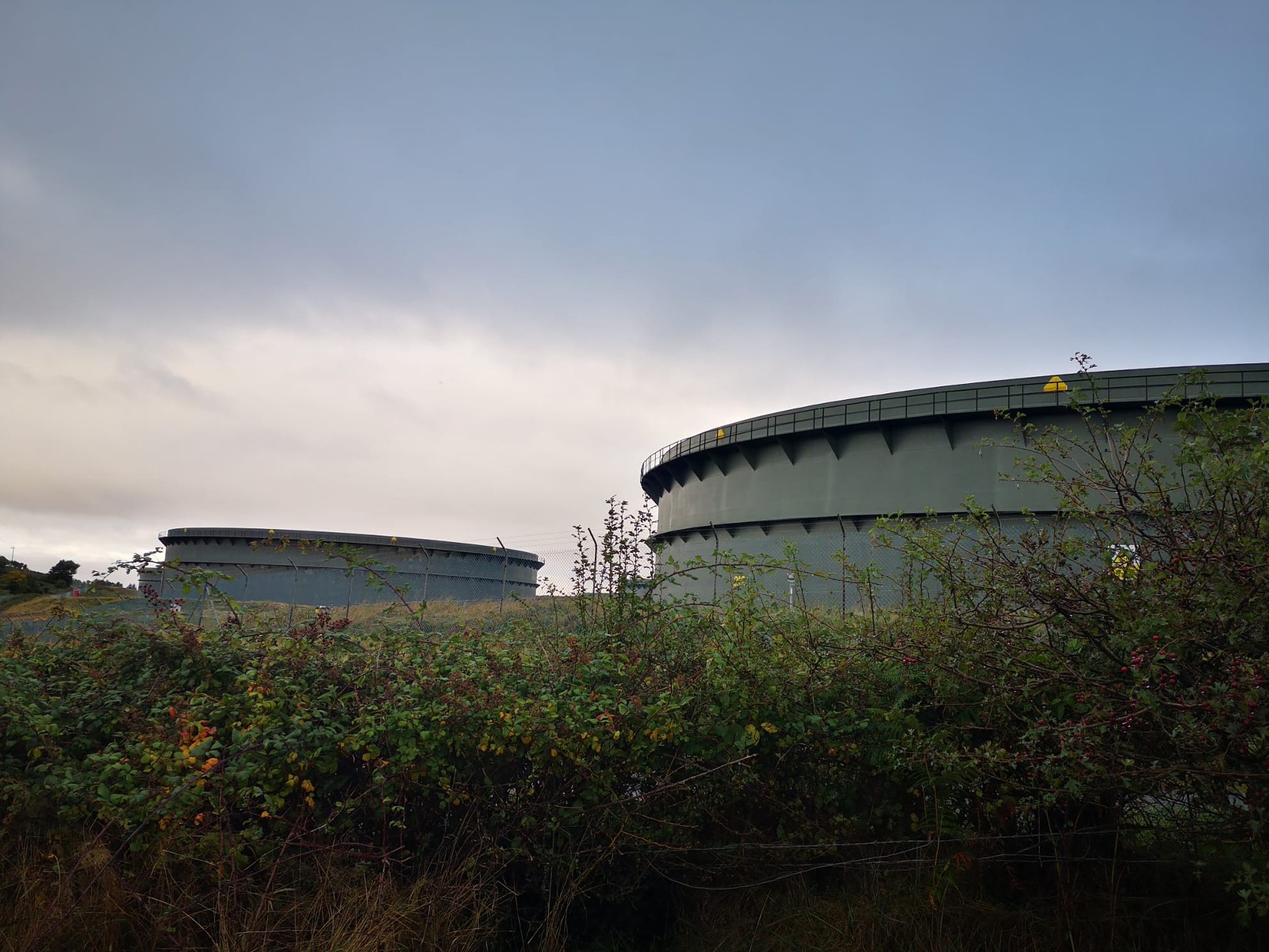 Meshworking: MA Art and Environment Graduate Exhibition | Monday 25 November – Saturday 21 December 2024 | Uillinn: West Cork Arts Centre | Image: probably a photo of the storage tanks on Whiddy Island for our “strategic oil reserves”; brambly hedgerow in the foreground, two of these tanks behind, grey sky above (fifty people died on Whiddy when a cargo of oil exploded, in 1979) 