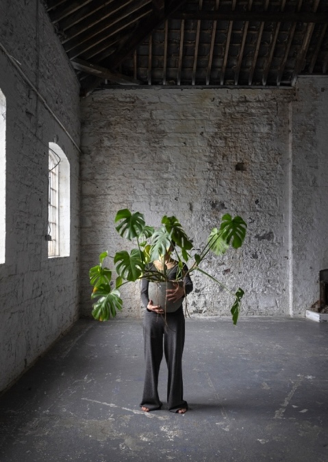 Agata Stoinska, from the series Echoes of a Dream, 2024; courtesy the artist | A R C H I P E L A G O | Friday 12 September – Sunday 26 October 2025 | Royal Hibernian Academy | Image: Agata Stoinska, from the series Echoes of a Dream, 2024; courtesy the artist | a figure is in a what may be a fairly rustic space – rough-bricked high walls, roof rafters sloping upwards, large-ish arch windows on the left, letting in daylight; the figure, in grey top and grey slacks, sandals or bare feet, is holding a large grey pot in which there is a large 'rubber plant' (possibly the wrong name); the leaves of the plant hide the figure’s face, though we do see the hands 