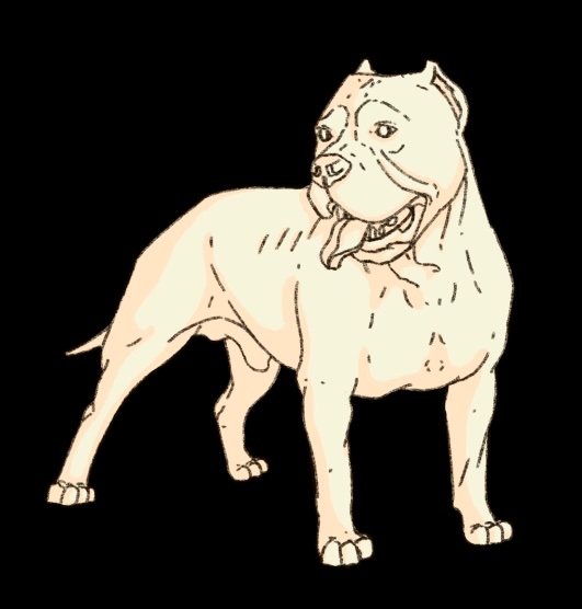 Aaron Sunderland Carey: Nach Cuma? Who Cares? | Thursday 21 August – Tuesday 30 September 2025 | The LAB | Image: line drawing of a bulldog or similar – pitbull? the dog’s body is facing towards our right, but it is looking towards our left, with tongue extended; no / black background 