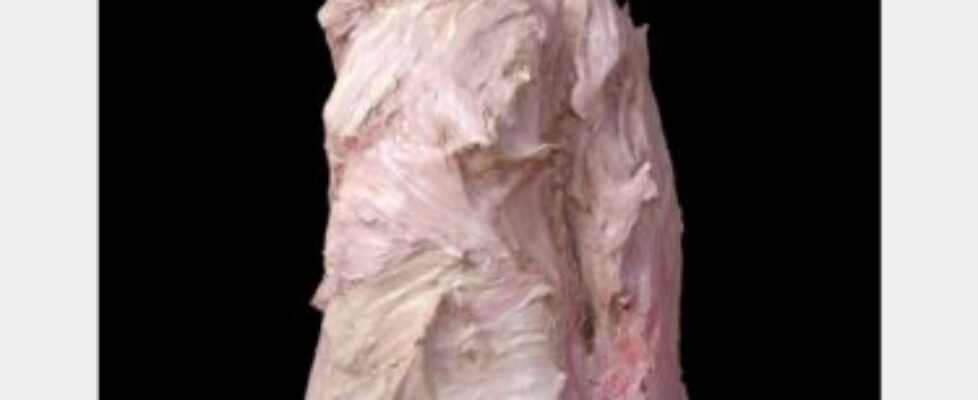 Colin Davidson, Stranger (Tara), 2024-25, Oil and acrylic paint on PLA, 190 x 88 x 55 cm, Image courtesy of the artist.