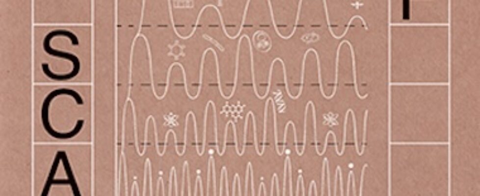 visions-of-scale-again