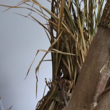 ^: Waking the Land |  The Dock 
 St. George's Terrace Carrick-on-Shannon, Co. Leitrim  | from Saturday 22 November | to 2026-02-14