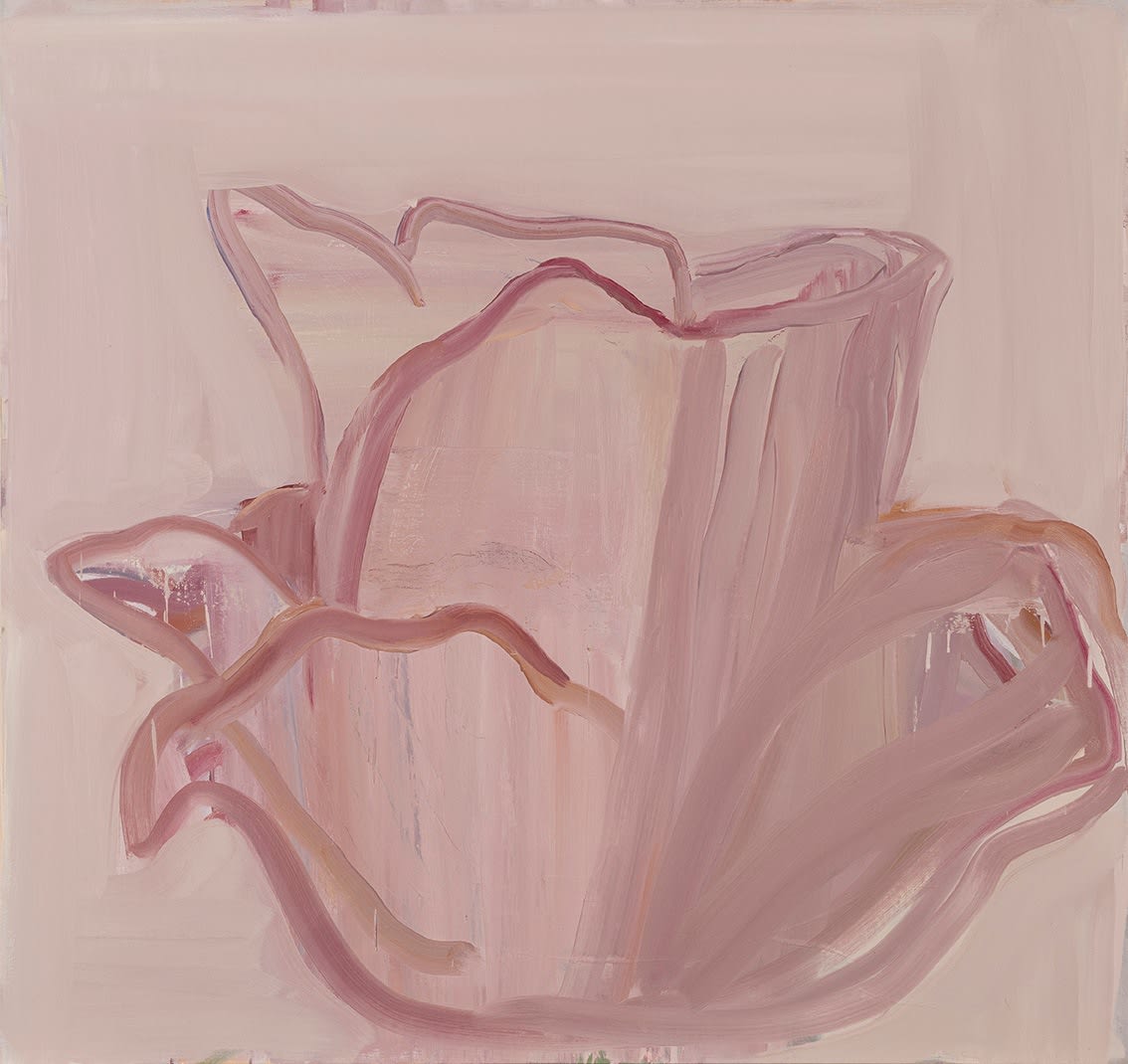 Pat Harris: Niks | Friday 14 November – Saturday 6 December 2025 | Taylor Galleries | Image: pale rose-coloured painting of a rose, just the flower, viewed from the side 