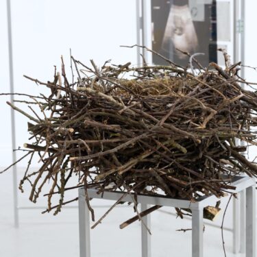 Caoimhe Glennon: The Invisible Visible |  Limerick City Gallery 
Pery Square, Limerick | Friday 21 November 2025 to Sunday 18 January 2026 | to 