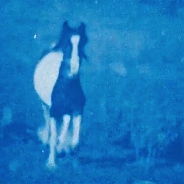 Kai Fiáin |  Uillinn: West Cork Arts Centre 
 Skibbereen, Co Cork  | until Saturday 20 December | to 2025-12-20