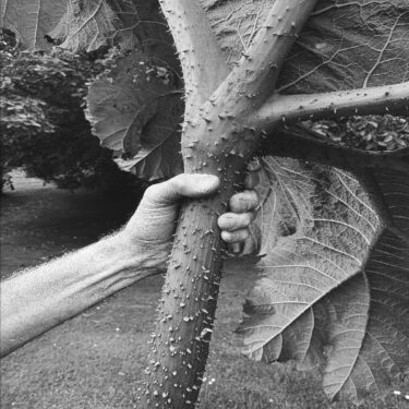 Nigel Rolfe: Still Even | Green On Red Gallery
Spencer Dock Park Lane, Dublin 1 | opening Thursday 19 February | to 2026-04-03 Nigel Rolfe: Still Even | Green On Red Gallery
Spencer Dock Park Lane, Dublin 1 | opening Thursday 19 February | to 2026-04-03