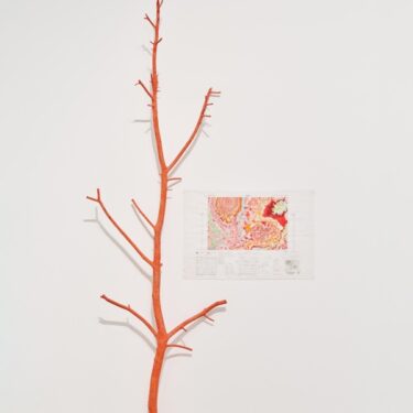 Kathy Prendergast: Stasis Field | Kerlin Gallery
Anne's Lane South Anne Street, Dublin 2 | from Friday 24 April | to 2026-05-30 Kathy Prendergast: Stasis Field | Kerlin Gallery
Anne's Lane South Anne Street, Dublin 2 | from Friday 24 April | to 2026-05-30