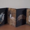 Bealtaine 2026 Exhibition |  Uillinn: West Cork Arts Centre 
 Skibbereen, Co Cork  | until Sunday 31 May | to 2026-05-31