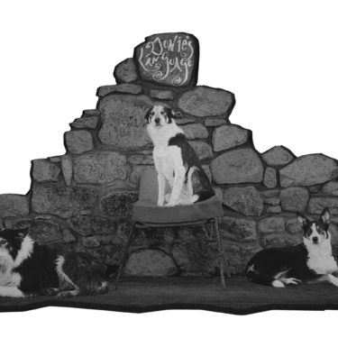Orla Barry: The Collie, The Cheviot & The Crouched Skeleton |  Rua Red 
 South Dublin Arts Centre Tallaght, Dublin 24  | from Friday 10 July | to 2026-09-26