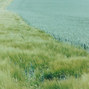 Summer in Dublin |  Kerlin Gallery 
 Anne's Lane South Anne Street, Dublin 2  | from Friday 17 July | to 2026-08-22