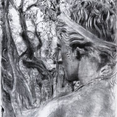 Margaret Corcoran: The New Life – La Vita Nuova |  Kevin Kavanagh 
 Chancery Lane Dublin 8  | opening Thursday 10 September | to 2026-10-10