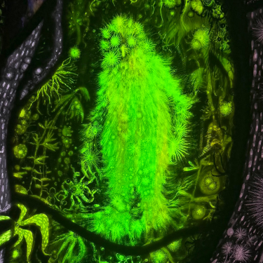 Rayleen Clancy: Wild Wisdom from a Grúagach’s Lair |  GOMA Gallery of Modern Art 
 6 Lombard Street Waterford  | opening Saturday 3 October | to 2026-10-31