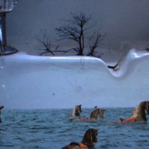 Hiraki Sawa: Part I. Japanese Contemporary Art |  VOID 
Patrick Street Derry BT48 7EL | Tuesday 16 March to Friday 16 April 2010 | to 