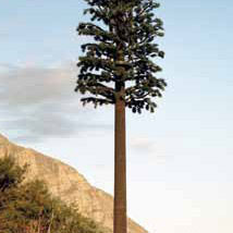 Making Nature |  Rubicon Gallery 
10 St. Stephen's Green Dublin 2 | Wednesday 9 June to Saturday 17 July 2010 | to 