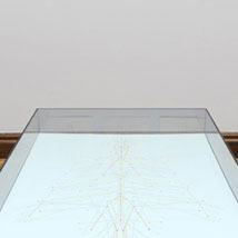 Ronnie Hughes: Hybrid Cabinet |   | Thursday 5 August to Sunday 24 October 2010 | to 