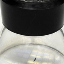 Locky Morris: this then |  Golden Thread Gallery 
23-29 Queen Street Belfast BT1 6EA | Friday 13 August to Saturday 18 September 2010 | to 