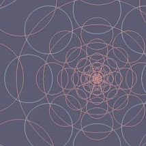 Outside Relations |  126 
15 St Brigid’s Place Hidden Valley, Galway City  | Friday 20 August to Thursday 4 November 2010 | to 