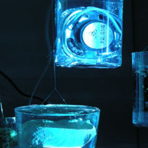 Shorelines |  Mermaid Arts Centre 
Main Street, Bray Co. Wicklow | Friday 22 October to Saturday 27 November 2010 | to 