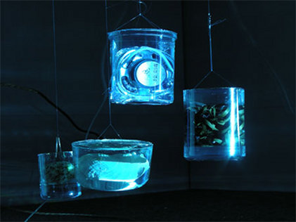 Shorelines | Friday 22 October  – Saturday 27 November 2010 | Mermaid Arts Centre