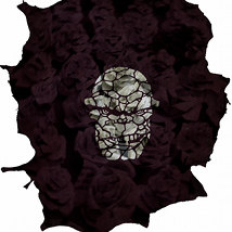 Alan Phelan: Cabbages and Things |  Solstice Arts Centre 
Navan, County Meath | Friday 29 October to Saturday 27 November 2010 | to 