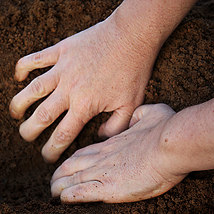 Beth Moysés: Removing Pain |  Trinity College 
College Green Dublin 2 | Thursday 25 November 2010 | to 