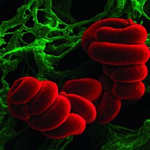 Boundary Work I |  CIT Wandesford Quay Gallery 
Cork | Friday 12 November to Saturday 27 November 2010 | to 