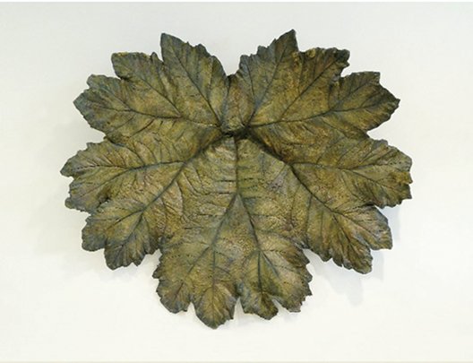 Eilís O'Connell: Reverse Gunnera, 2010, Plaster with fibre-glass composite, 240 x 210 x 210 cms, Image courtesy of the artist | Eilís O’Connell: Haptic | Friday 14 January  – Sunday 27 February 2011 | Royal Hibernian Academy